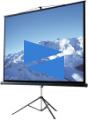 ligra T180L-LIG